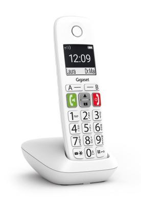 Téléphone sans-fil Gigaset (E290)